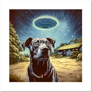 UFOs 2: My Dog Thinks UFOs Are Real on a Dark Background Posters and Art